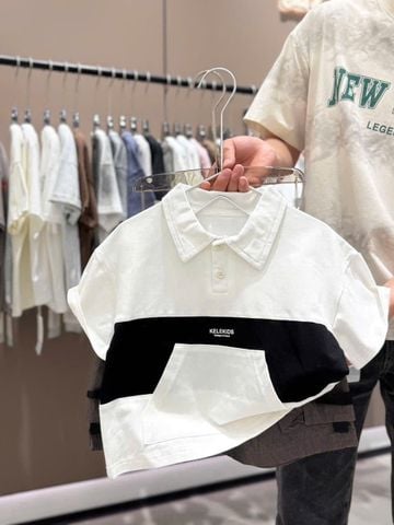 ABT46 - Áo thun polo cổ đức nhiều màu cho bé trai size 100-140
