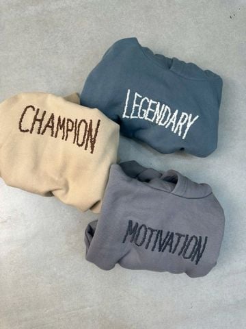 BBT27 - Bộ nỉ bông hoodie GGJJ trơn màu thêu chữ cho bé size 2-8y