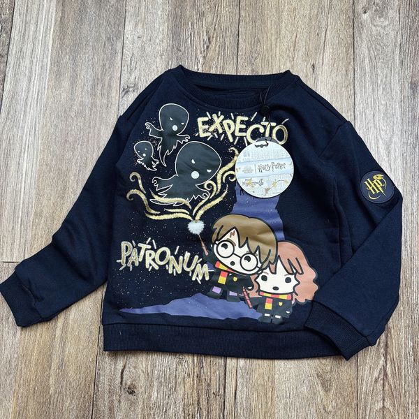 ABT93 - Áo nỉ da cá Starwar, Harry Potter dư xịn nhiều màu bé trai size 3-14y