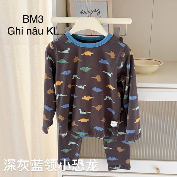 BBG25 - Bộ thun dài tay Hey Honey nhiều mẫu cho bé size 90 - 150