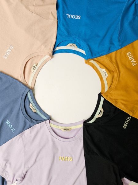 BBG33 - Bộ cotton Bee Mon nhiều màu thêu chữ ngực Paris / Seoul size 110 - 160