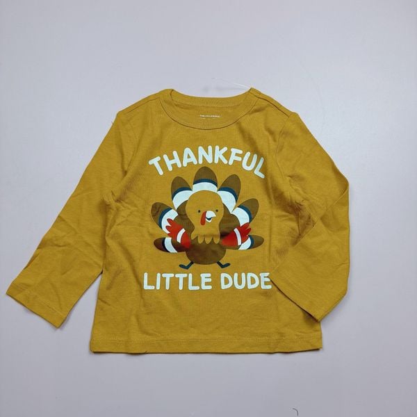 ABT114 - Áo cotton dài tay dòng nhí cho bé trai size 1-5y