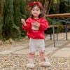 ABT05 - Áo nỉ bbz chủ đề Noel nhiều màu cho bé size 100-140