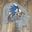 Ghi Sonic