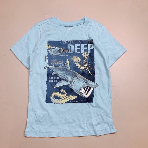 ABT78 - Áo cotton CTs Kids bé trai nhiều màu size 4-14y