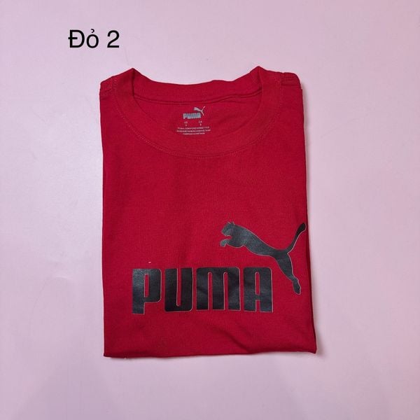 ABT70 - Áo cotton thể thao nhiều màu cho bé trai