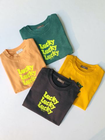 ABT63 - Áo cotton lucky nhiều màu BTBG size 100-150