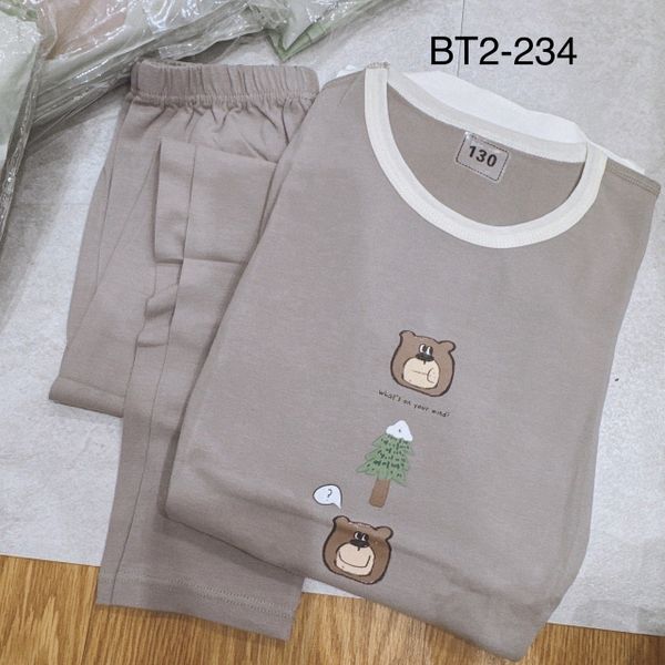 BBT26 - Bộ thun Luboer nhiều hình cho Bé Trai size 90 - 160