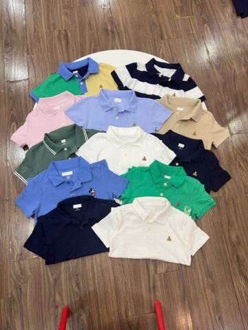 ABT61 - Áo polo cổ đức Baby nhiều màu cho bé trai size 1-5y
