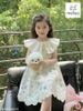 MLSDCC.7462 - Váy Melisa màu xanh hoa nhí cổ bèo trắng size 1-10y