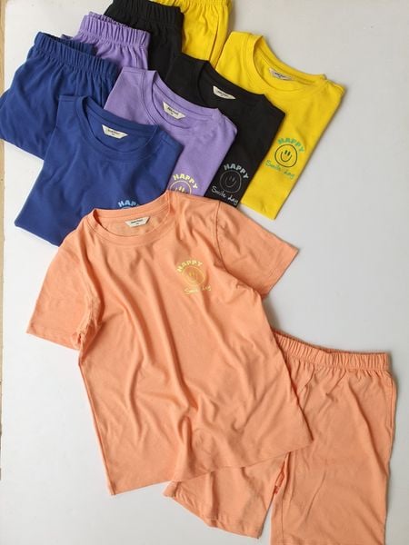 BBG32 - Bộ cotton Bee Mon mặt cười 5 màu BTBG size 110 - 160 - Bảng màu 2