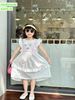 V00035 - Váy Sofia Candy tiểu thư tay cánh tiên thêu hoa ngực nhiều màu BG size 1-10y