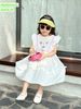 V00035 - Váy Sofia Candy tiểu thư tay cánh tiên thêu hoa ngực nhiều màu BG size 1-10y