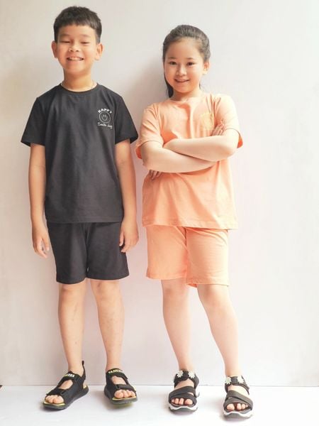 BBG32 - Bộ cotton Bee Mon mặt cười 5 màu BTBG size 110 - 160 - Bảng màu 2