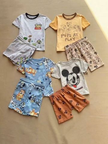 BBT31 - Bộ cotton Paw Patrol, Bluey nhiều mẫu cho bé trai size 1-5y