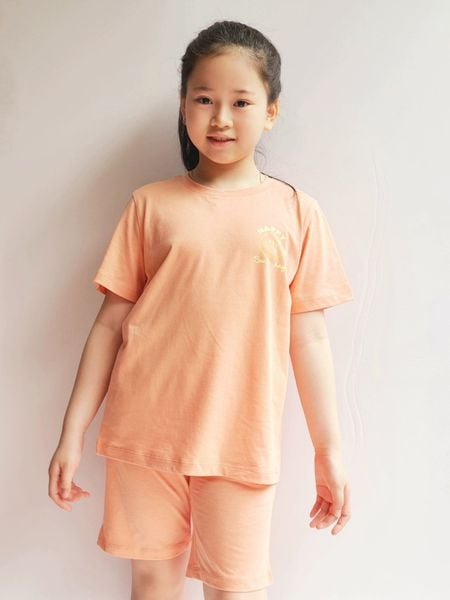 BBG32 - Bộ cotton Bee Mon mặt cười 5 màu BTBG size 110 - 160 - Bảng màu 2