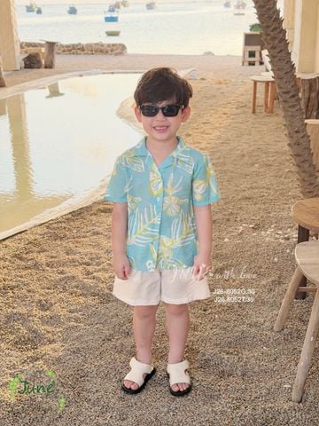 VJ 115 - Bộ đũi June 2 màu Bé Trai size 1 - 10y