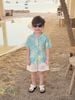 VJ 115 - Bộ đũi June 2 màu Bé Trai size 1 - 10y