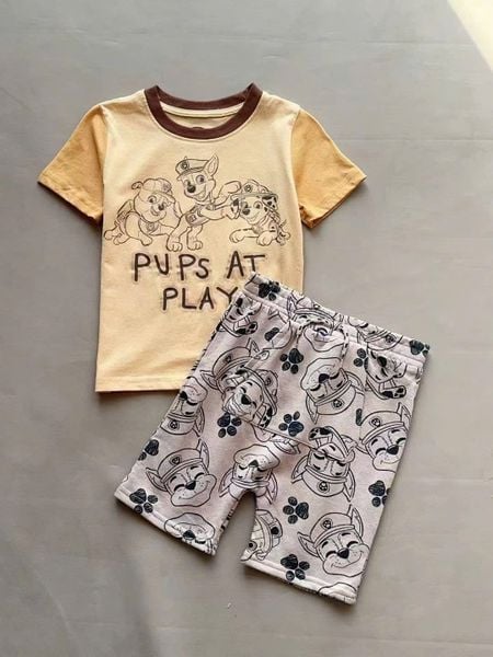 BBT31 - Bộ cotton Paw Patrol, Bluey nhiều mẫu cho bé trai size 1-5y