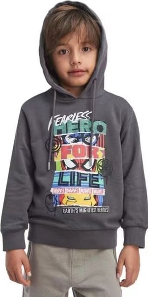 ABT100 - Áo nỉ da cá Hollyland dư xịn nhiều màu cho bé trai size 3-12y