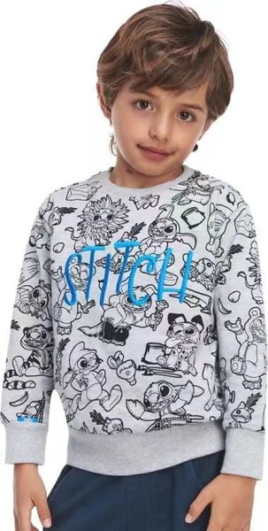 ABT100 - Áo nỉ da cá Hollyland dư xịn nhiều màu cho bé trai size 3-12y