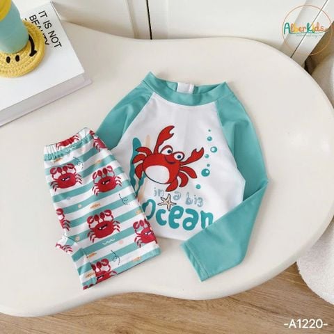 A1220 - Set bộ bơi 2ct Alber Kids bé trai size 90-150