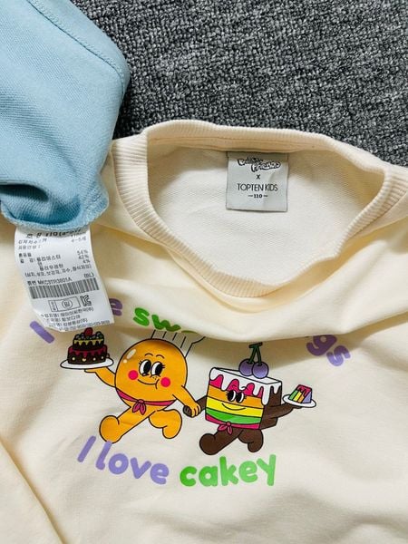 ABT90 - Áo nỉ mỏng da cá Topten nhiều hình BTBG