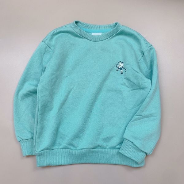 ABT102 - Áo nỉ bông trơn in ngực nhiều màu BTBG