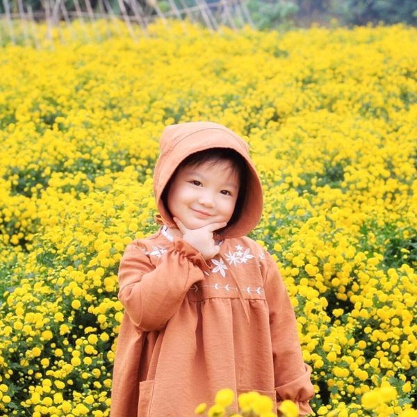 V00090 - Váy thô Kaii màu nâu dài tay thêu ngực BG