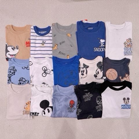 ABT30 -  Áo cotton FOX dư xịn nhiều mẫu cho bé trai size 1-5y
