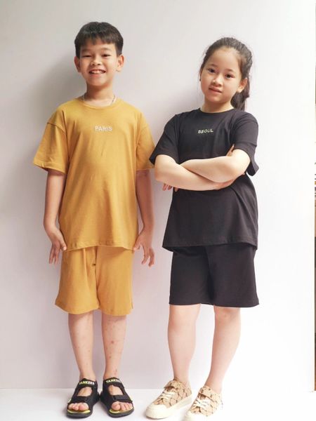 BBG33 - Bộ cotton Bee Mon nhiều màu thêu chữ ngực Paris / Seoul size 110 - 160