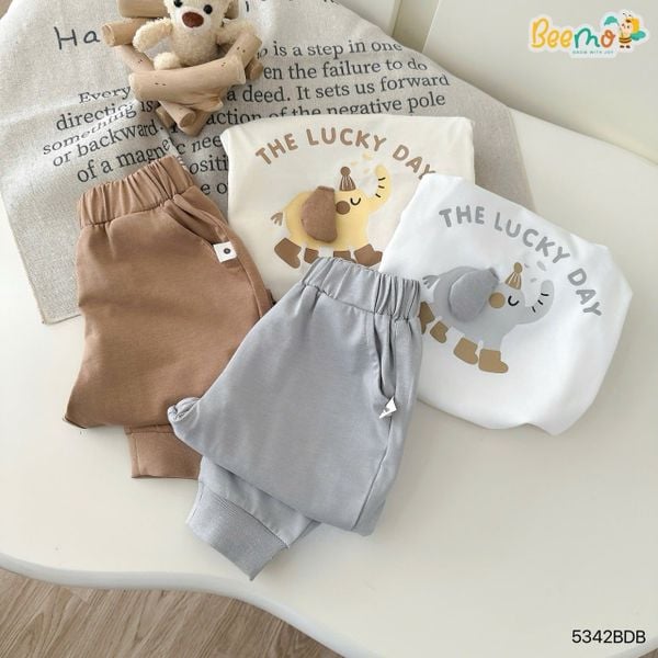 5342BDB - Bộ thu đông in hình con voi Beemo