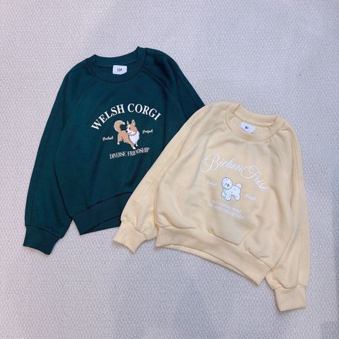 ABG23 - Áo nỉ Polham 2 màu vàng/rêu cho bé size 110-160