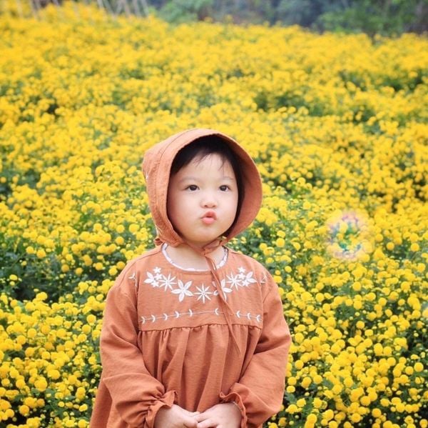 V00090 - Váy thô Kaii màu nâu dài tay thêu ngực BG