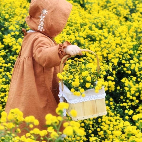 V00090 - Váy thô Kaii màu nâu dài tay thêu ngực BG