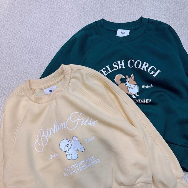 ABG23 - Áo nỉ Polham 2 màu vàng/rêu cho bé size 110-160