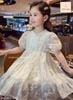 JJDCC.6909 - Váy Jam & Jenny kem hoa nổi tay bồng size 1-10y