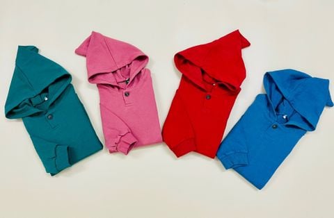 ABT106 - Áo hoodie nỉ da cá Mm 4 màu BTBG