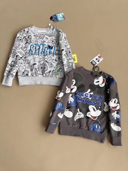 ABT100 - Áo nỉ da cá Hollyland dư xịn nhiều màu cho bé trai size 3-12y