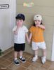 6030AHB - Áo Beemo polo cổ tàu đính mác cao su gấu size 1 - 6y