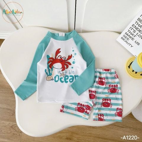 A1220 - Set bộ bơi 2ct Alber Kids bé trai size 90-150