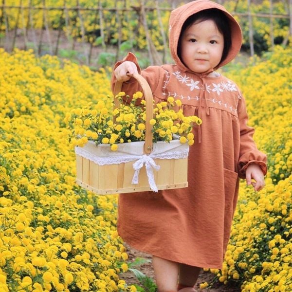 V00090 - Váy thô Kaii màu nâu dài tay thêu ngực BG