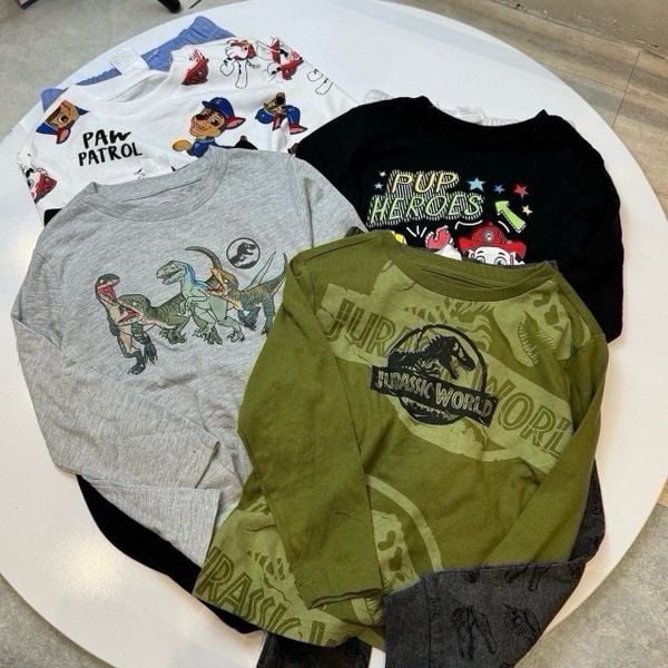 BBT22 - Bộ cotton nhiều mẫu cho bé trai size 3 - 7y