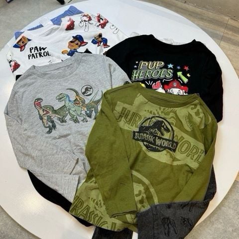 BBT22 - Bộ cotton nhiều mẫu cho bé trai size 3 - 7y