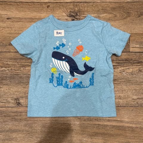 BM5 - Áo cotton cộc tay dòng Nhí nhiều mẫu Bé Trai size 12m - 6y