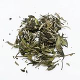  Bạch Trà Bạch Mẫu Đơn 