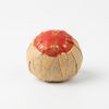  Phổ Nhĩ Quýt Tiểu Thanh Cam 