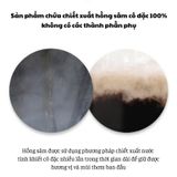  Cốt Hồng Sâm Cô Đặc Siêu Thượng Hạng Kim’s Red Ginseng (30 gói x 10ml) 