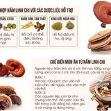  Nấm Linh Chi Thái Lát Hàn Quốc Bịch 1kg / 500g 