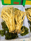  Sâm Tươi Hàn Quốc Loại 2 Củ 1Kg 